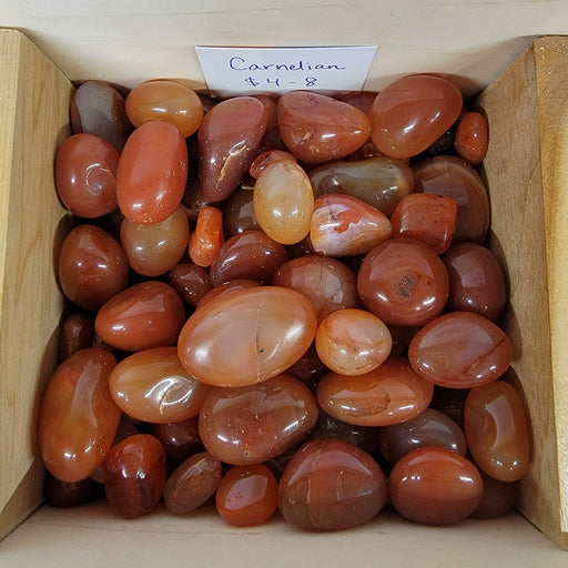 Medium Tumbled Carnelian Stones showcasing vibrant colors ranging from pink to orange, ideal for healing and chakra work.
