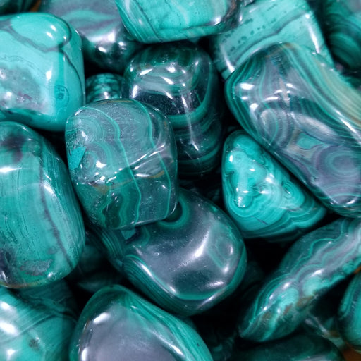 A collection of Malachite tumbled stones in various shapes and sizes, emphasizing their beautiful green hues. Perfect for energy work and manifesting abundance.