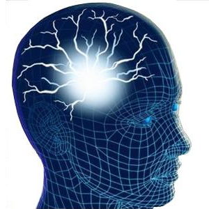 Healing Crystal Kit - Focus and Concentration | High Ho Gems and Crystals