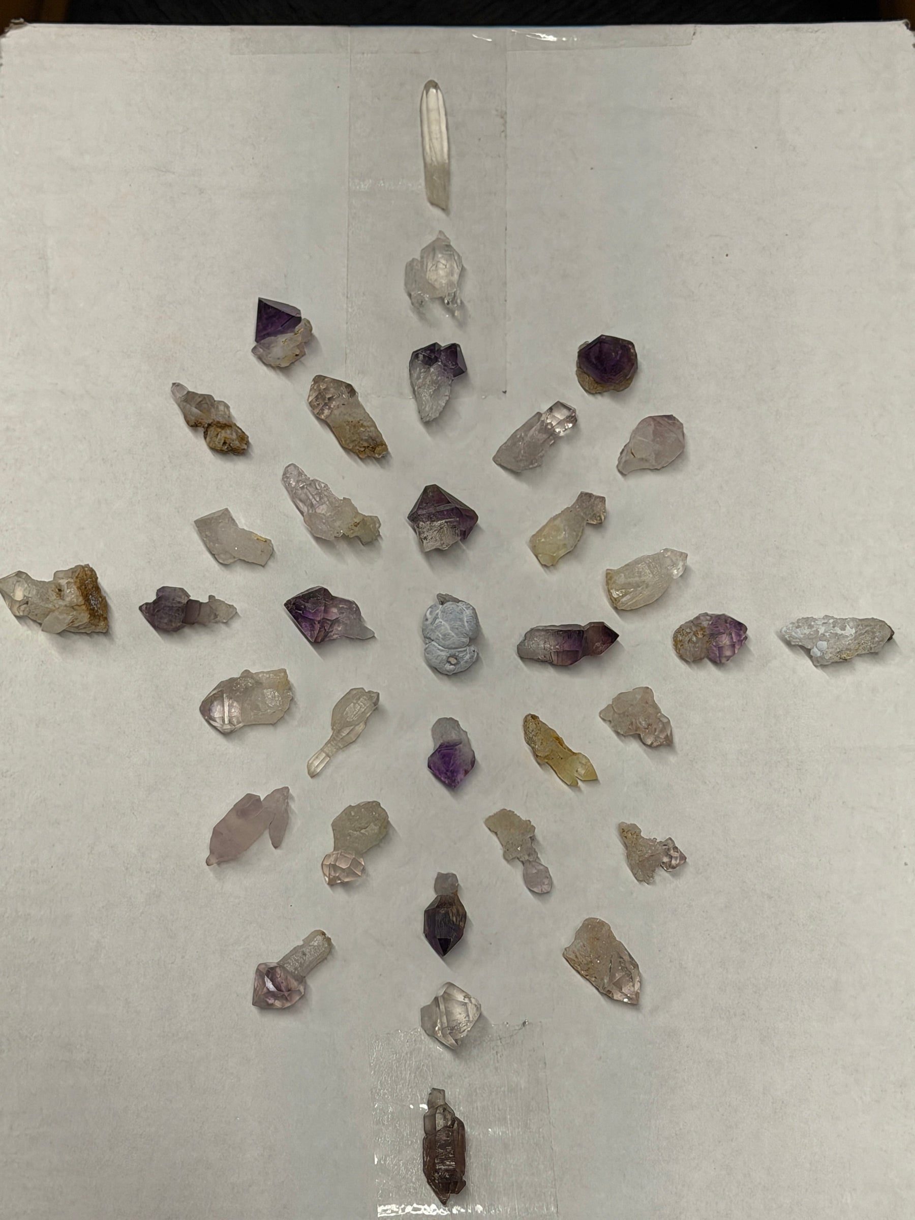 A day of gridding Madagascar Scepters