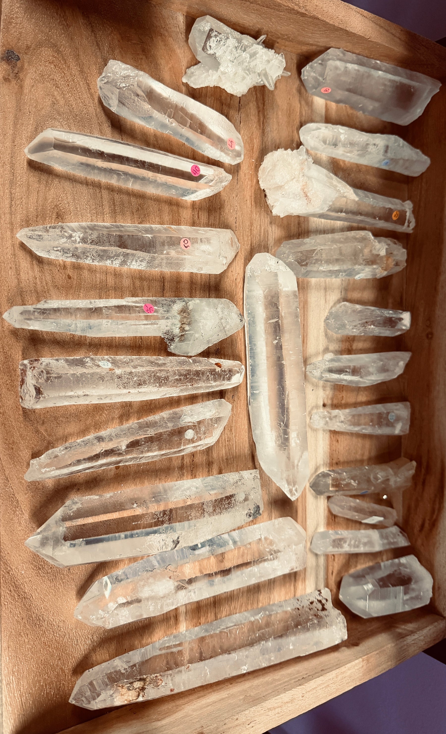 In Stock Lemurian Seed Crystal Specimens