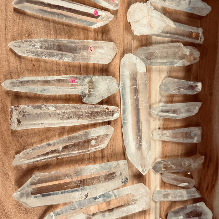 In Stock Lemurian Seed Crystal Specimens