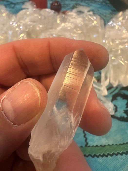 Lemurian Seed Crystals (Brazil)