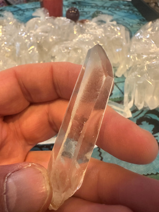 Lemurian Seed Crystals (Brazil)
