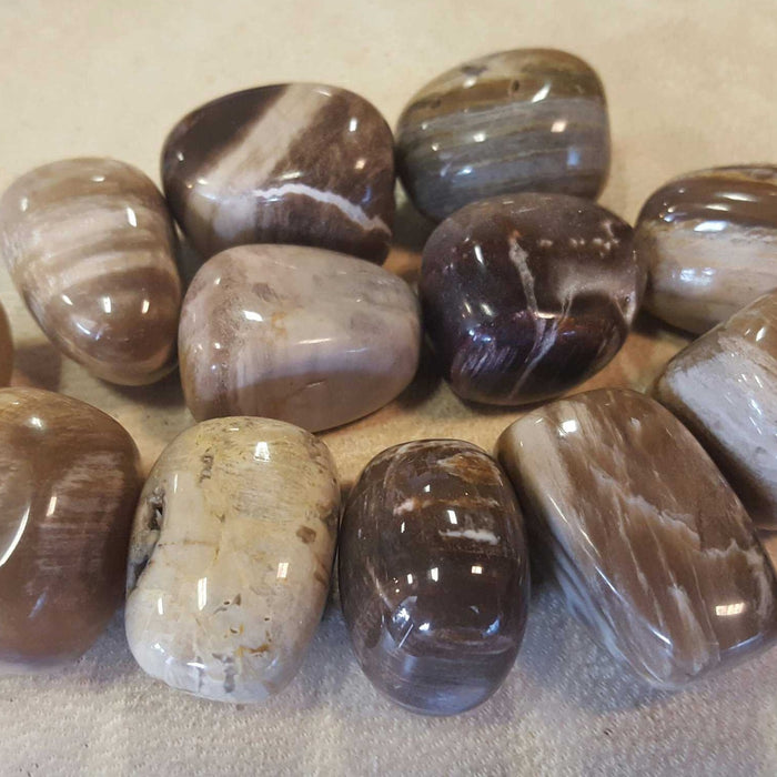 Tumbled stones - Petrified Wood - High Ho Gems and Crystals