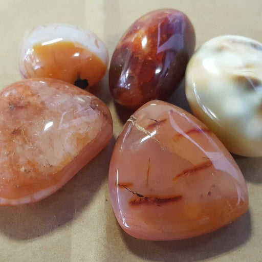 Carnelian Palm Stones High Ho Gems — High Ho Gems and Crystals
