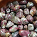 Tumbled stones - Pink Tourmaline | High Ho Gems and Crystals