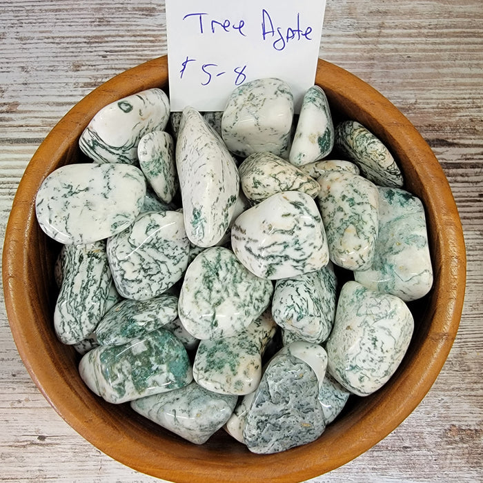 Tumbled stones - Tree Agate