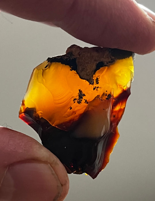 Rough 2025 opal price