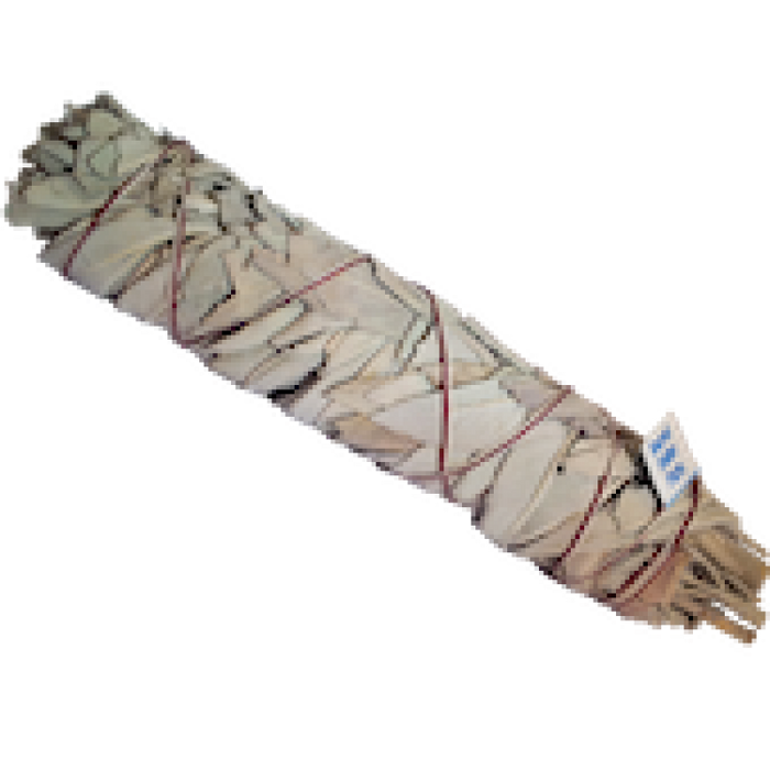 Smudge - California White Sage 8" | High Ho Gems and Crystals